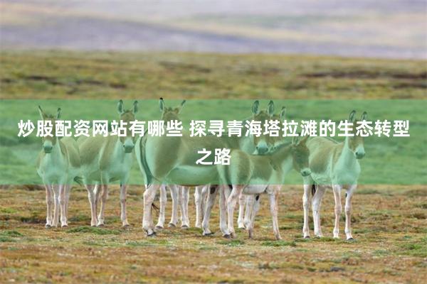 炒股配资网站有哪些 探寻青海塔拉滩的生态转型之路