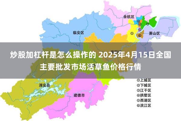 炒股加杠杆是怎么操作的 2025年4月15日全国主要批发市场活草鱼价格行情