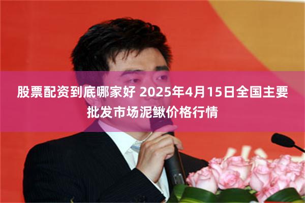 股票配资到底哪家好 2025年4月15日全国主要批发市场泥鳅价格行情