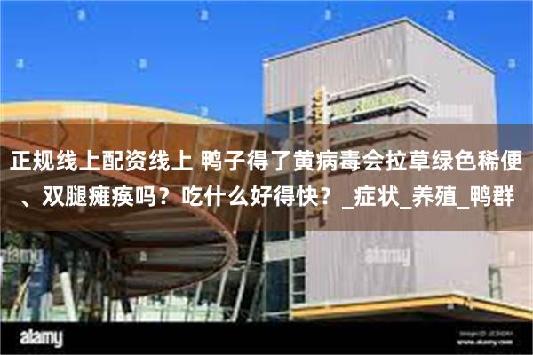 正规线上配资线上 鸭子得了黄病毒会拉草绿色稀便、双腿瘫痪吗？吃什么好得快？_症状_养殖_鸭群