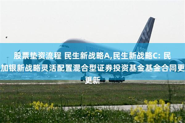 股票垫资流程 民生新战略A,民生新战略C: 民生加银新战略灵活配置混合型证券投资基金基金合同更新
