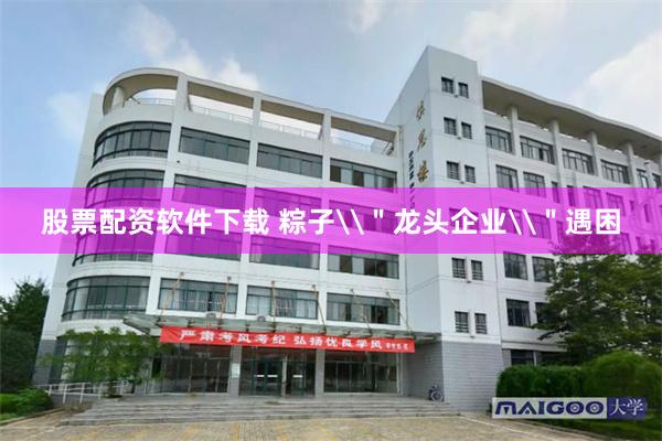 股票配资软件下载 粽子\＂龙头企业\＂遇困