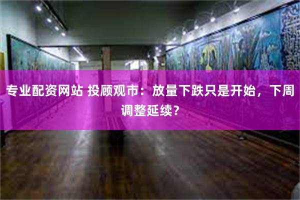 专业配资网站 投顾观市：放量下跌只是开始，下周调整延续？