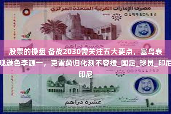 股票的操盘 备战2030需关注五大要点，塞鸟表现逊色李源一，克雷桑归化刻不容缓_国足_球员_印尼