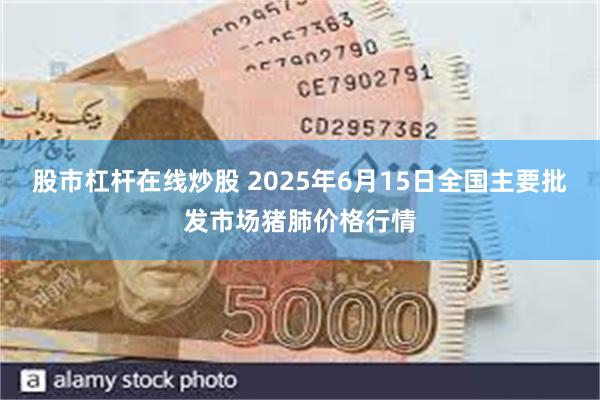 股市杠杆在线炒股 2025年6月15日全国主要批发市场猪肺价格行情