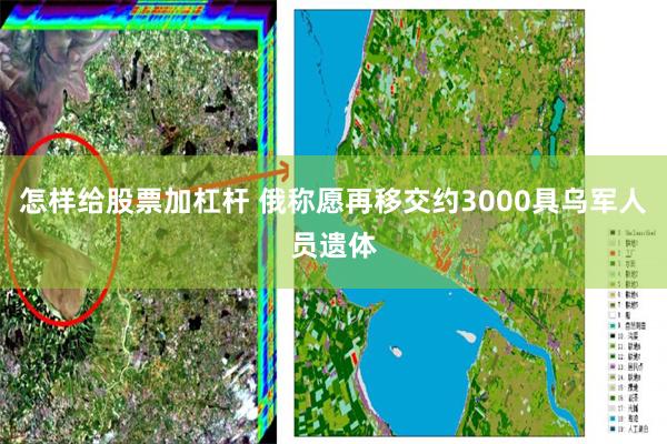 怎样给股票加杠杆 俄称愿再移交约3000具乌军人员遗体