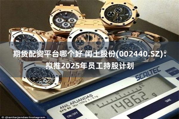 期货配资平台哪个好 闰土股份(002440.SZ)：拟推2025年员工持股计划