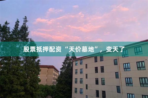 股票抵押配资 “天价墓地”，变天了