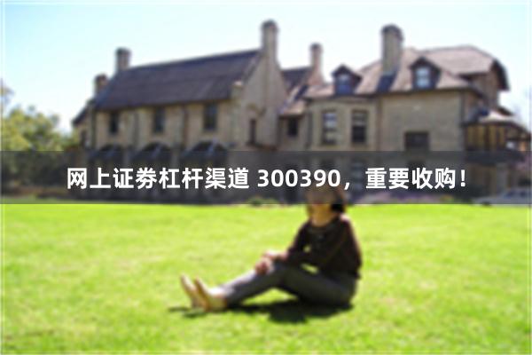 网上证劵杠杆渠道 300390，重要收购！