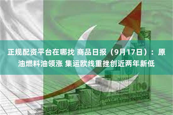 正规配资平台在哪找 商品日报（9月17日）：原油燃料油领涨 集运欧线重挫创近两年新低
